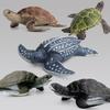 Simulation Animal Model Toy Turtle Doll Ornament Collection Static Animal Boutique Gift Gift