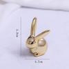Nordic Ins Style Light Luxury Gold Ceramic Small Animal Ornaments Creative Electroplating Photography Props Small Ornaments