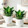 Large Planter Pot Self Watering Pots for Indoor Plants, Plastic with Drainage Hydroponic Plant Vase Holes, Small Flower Houseplants, African Violets,