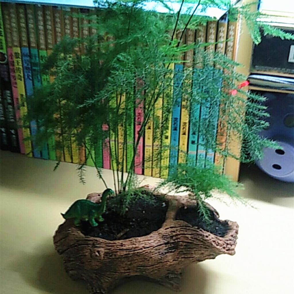 Artistic Cement Flowerpots with Tree Root Designs for Creative Office Home Decoration Balcony Garden Spaces Desk Display