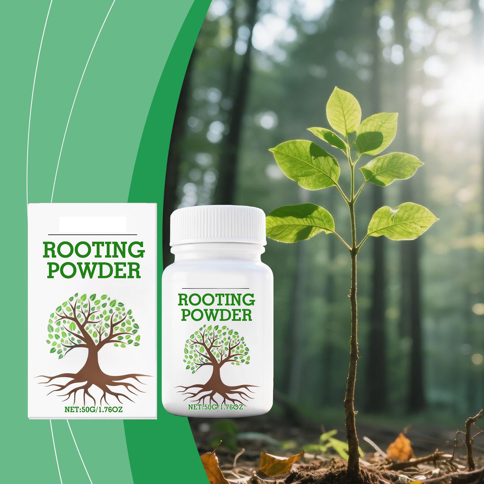Concentrated Nutrient Liquid for Home Gardening Succulents Green Plant Soluble Fertilizers Rooting Promotion Regeneratio 1