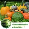 Melon Cradle Pumpkin Support Anti-Rotting Bracket Plastic Stable Tray Melon And Fruit Tray Strawberry Supports Holder New 2026