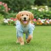 Breathable Dog Cooling Jumpsuit Quick Drying Thin Fabric Dog Mesh Vest Flying Sleeves D-Ring Design Pet Sun Protection Clothes