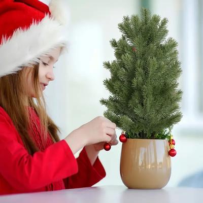 Parti Süsleri – Yılbaşı süsleri