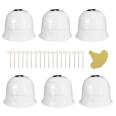 6PCS Opakovaně použitelné zahradní rostlinné cloche Plastové kopule Ochranné kryty sazenic pro venkovní zahradu