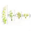 Wild Mulberry Wreath Material - Green Plant Ornaments for DIY Home Decor