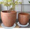 Saucer 6 Pack of 12 inch, Clear Plastic Flower  Pot Saucer, Heavy Duty Drip Trays Saucers for Indoor,