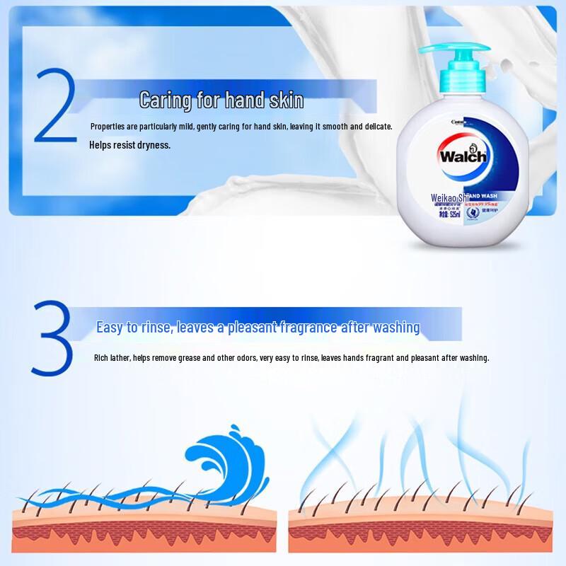 Walch Antibacterial Foaming Hand Wash Set