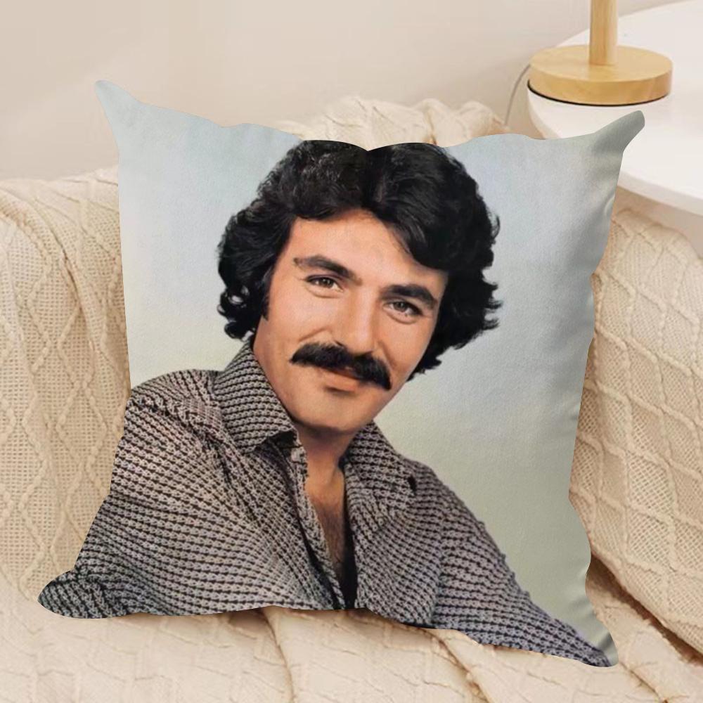 FFerdi TTayfur Cushion Cover Silky Short Plush DoubleSided Printed Pillow Case for Sofa All Seasons Home Decor Gift 30x30cm