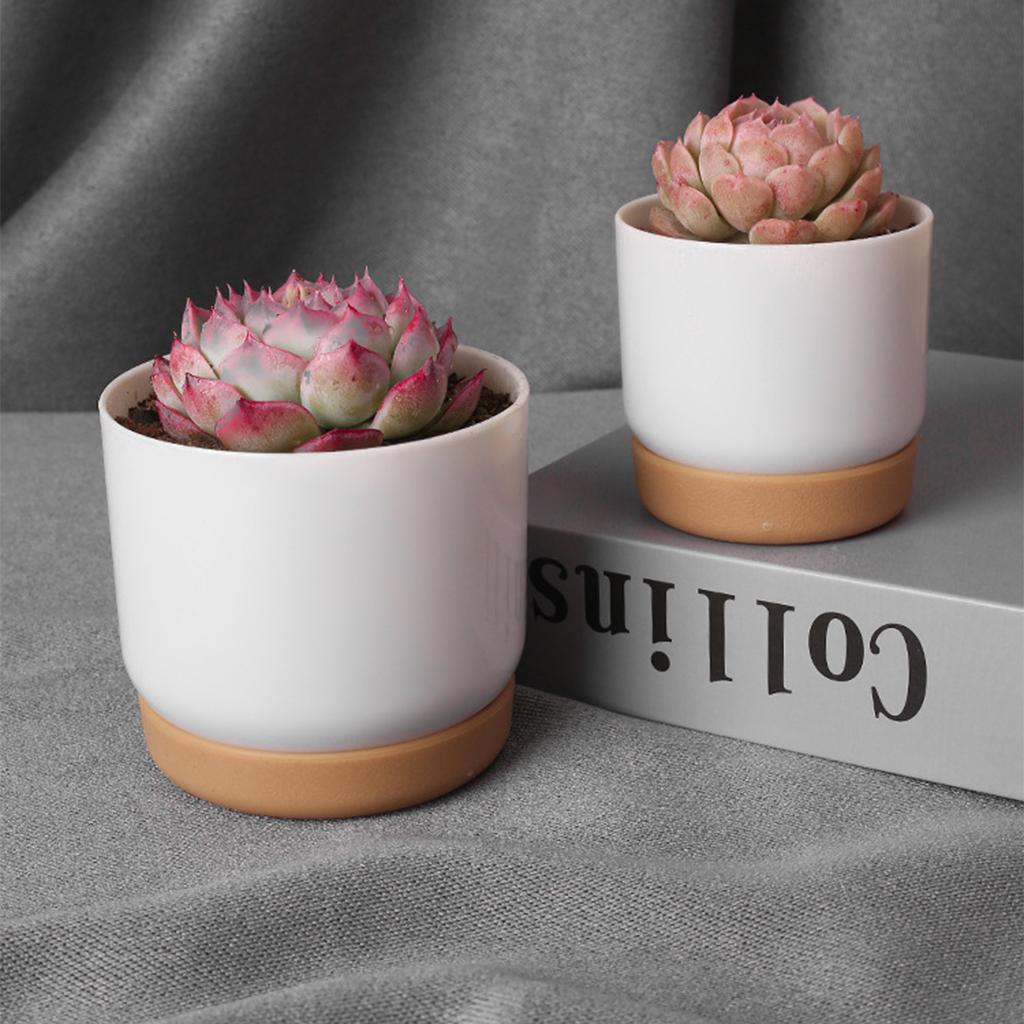 Large/Small White Succulents Planter Plastic Plant Pots White Container Pot