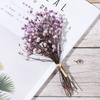 Decor Natural Material Photo Props Real Flower Mini Babysbreath Natural Dried Bouquets Plant Stems