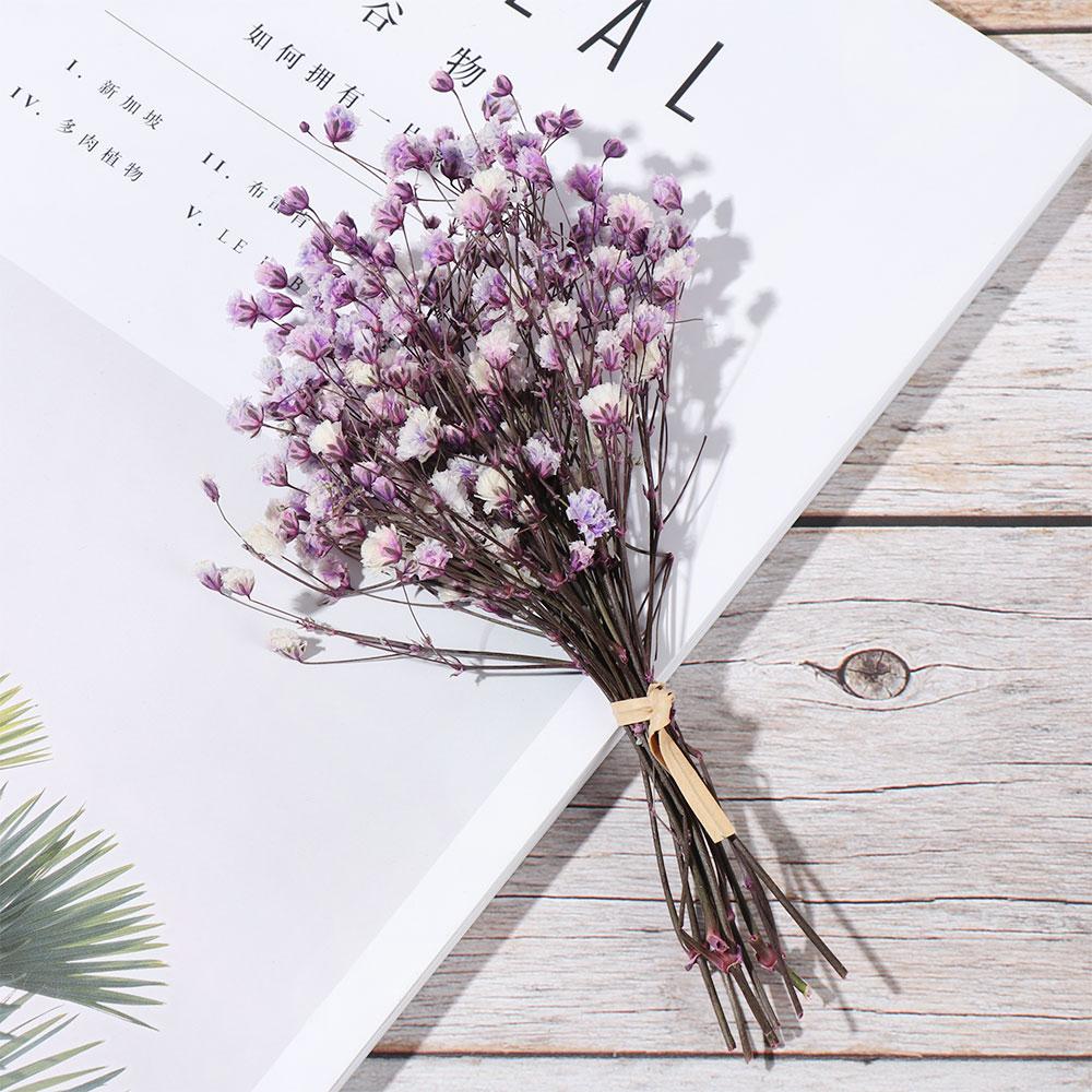 Decor Natural Material Photo Props Real Flower Mini Babysbreath Natural Dried Bouquets Plant Stems