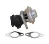 Ft60230 Fast Egr Valve