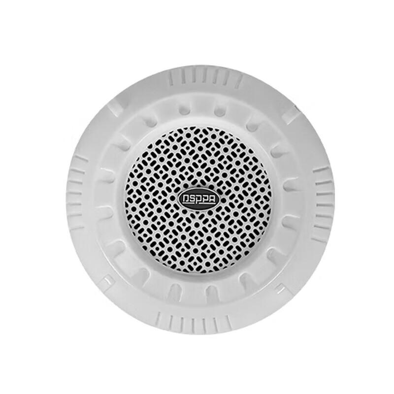 DSPPA Ceiling Speaker CN Plug (adapter Included)