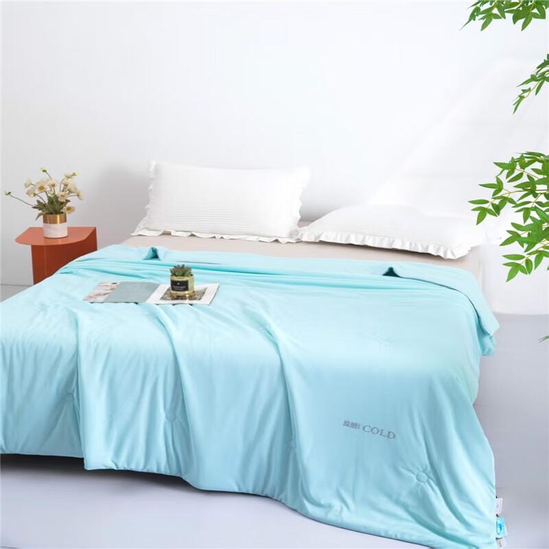 

Violet Home Textiles Jacquard Ice Silk Summer Cool Quilt