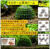 ST TS Moss Balls, Moss Domes, Willow Moss, Aquatic Plants, Moss Mats, Plant Holders, Plant Cultivation (5)