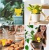 40 Pieces Insect Trap, Insect Repellent, Adhesive Sheet, Insect Repellent