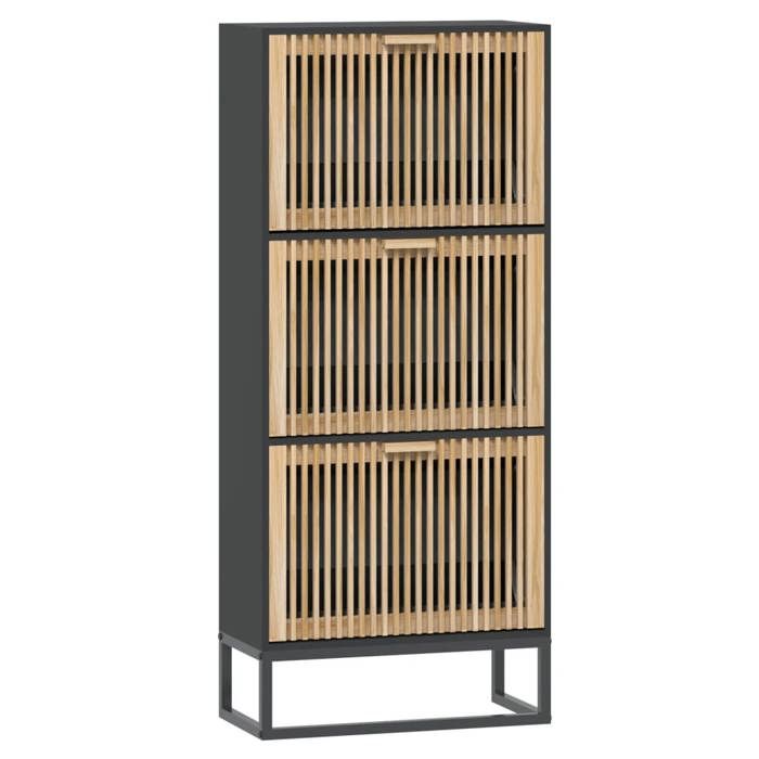 VidaXL Shoe Cabinet Black 52x25x120 Cm Engineered Wood, Shoe Storage, Shoe Rack, 352128