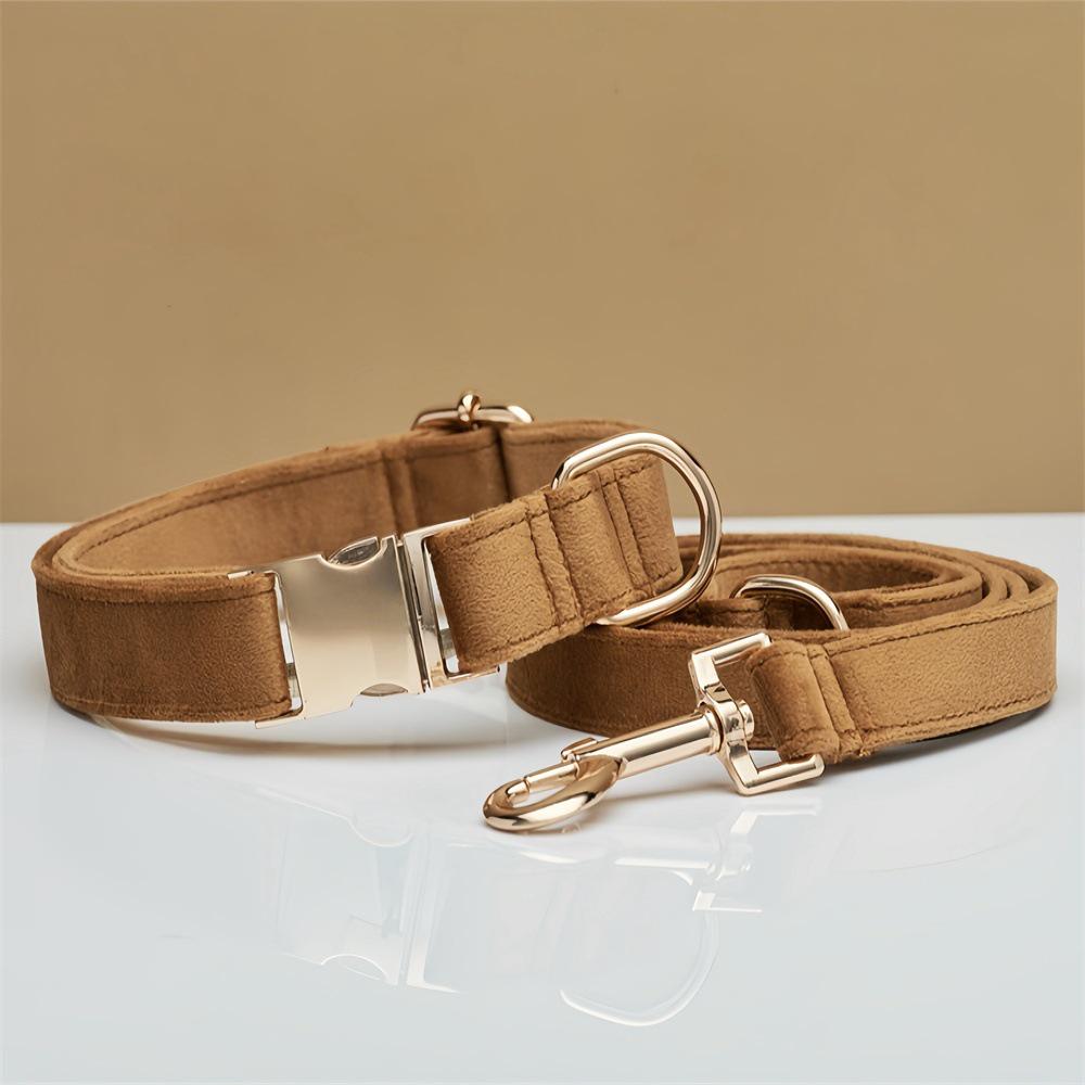 Ensemble collier et laisse pour chien en velours gravé avec boucle métallique réglable
