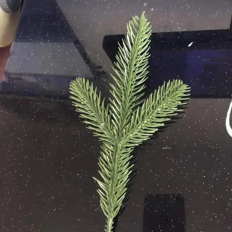 10Pcs Festival Party New Year DIY Decorations Christmas Tree Decorations Props Artificial Pine Wood Plant Decorations Accessory