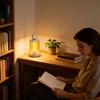 Rechargeable TPYC Camping Lamp Dual-Function Light Source Two-In-One Outdoor Atmosphere Tent Light Camping Night Light