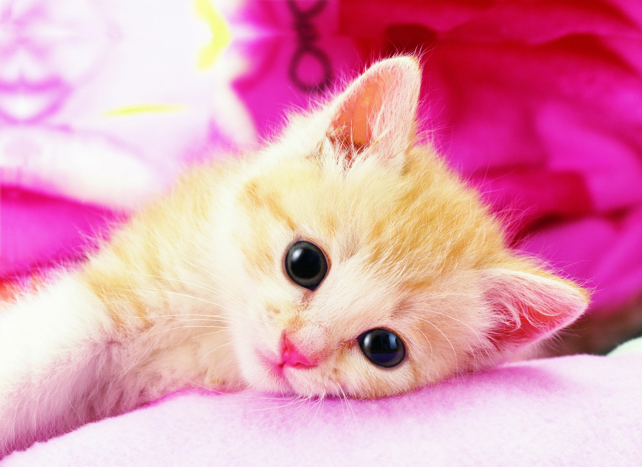 

Epoch 216 Small Piece Jigsaw Sweet Kitty x Includes and Score Ticket Puzzle, Animals/Pets, Cat, (18.2 25.7 cm), 04-521, Glue, Spatula,