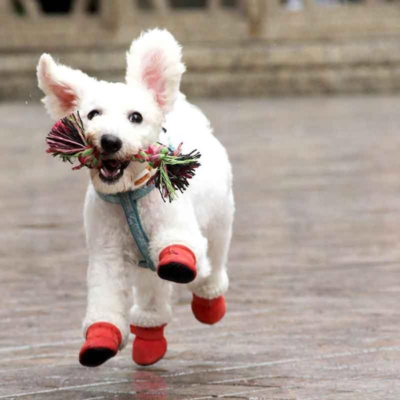 Winter Warm Pet Shoes 4pc/set Cute Dog Booties Snow Walking Puppys Booties Shoes Casual Fashion No-slip Dog Shoes