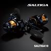 DAIWA Salt Bait Reel 25SALTIGA 10H-SJ