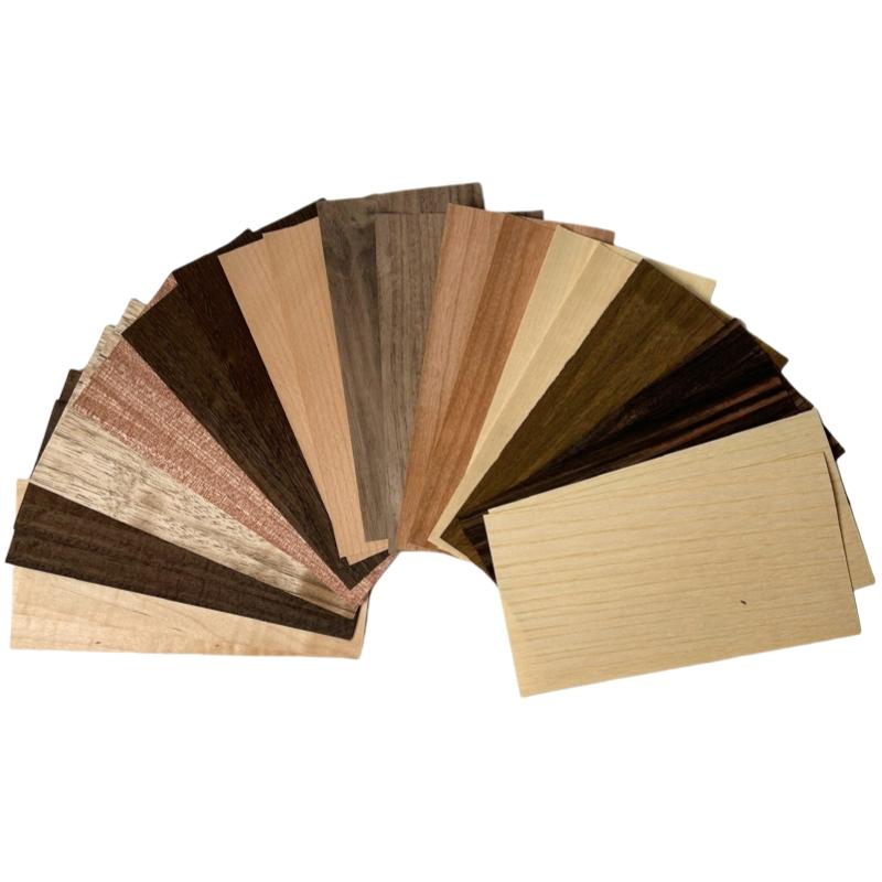 Veneer Variety Pack for Marquetry and