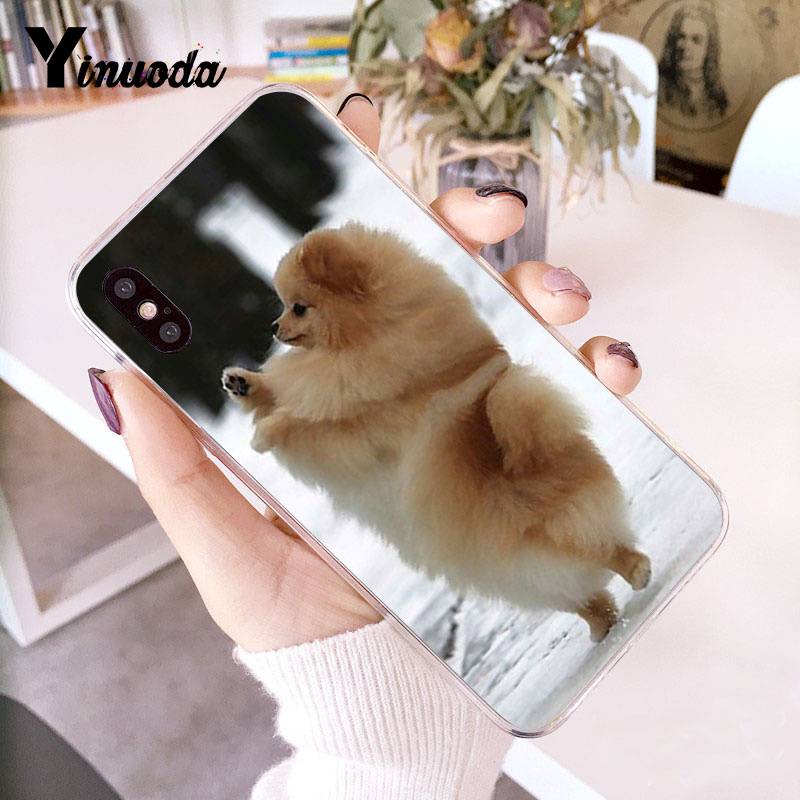 Yinuoda Pomeranian Dogs Dog Colorful Cute Phone Case for Iphone 13 8 7 6 6S Plus X 10 5 5S SE XR XS XSMAX11 11pro 11promax