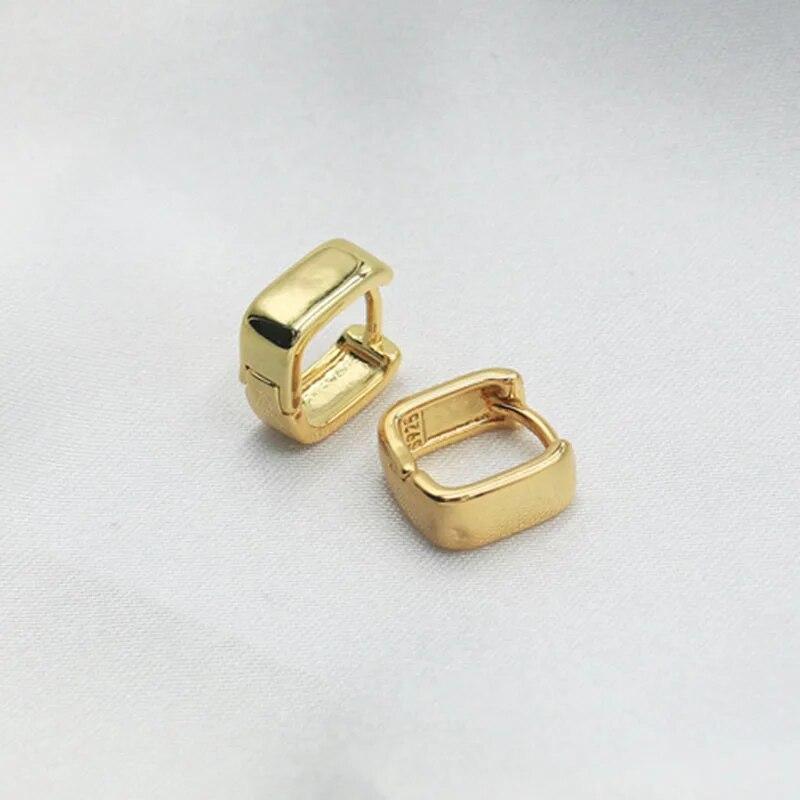 Rustfritt stål glatt metall Chunky Hoop øredobber for kvinner Jenter Mote Runde sirkel bøyler Statement øredobber Punk smykker