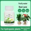 Hydroponic Water Purification and Nutrient Tablets for Flowers