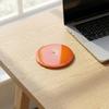 2PCS Simulated Fruit Coffee Tea Coasters Acrylic Heat Insulation Pad Pot Holder  Tabletop Decor