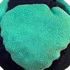 World Footbag, Handwoven Juggling Balls for Kids Adults, Soft Stress Relief Toy for Outdoor Party Game Entertainment