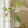4pcs/set Self-Watering Plant Hydroponic Vase Transparent Hanging Fish Tank Mini Flower Pot  Bathroom