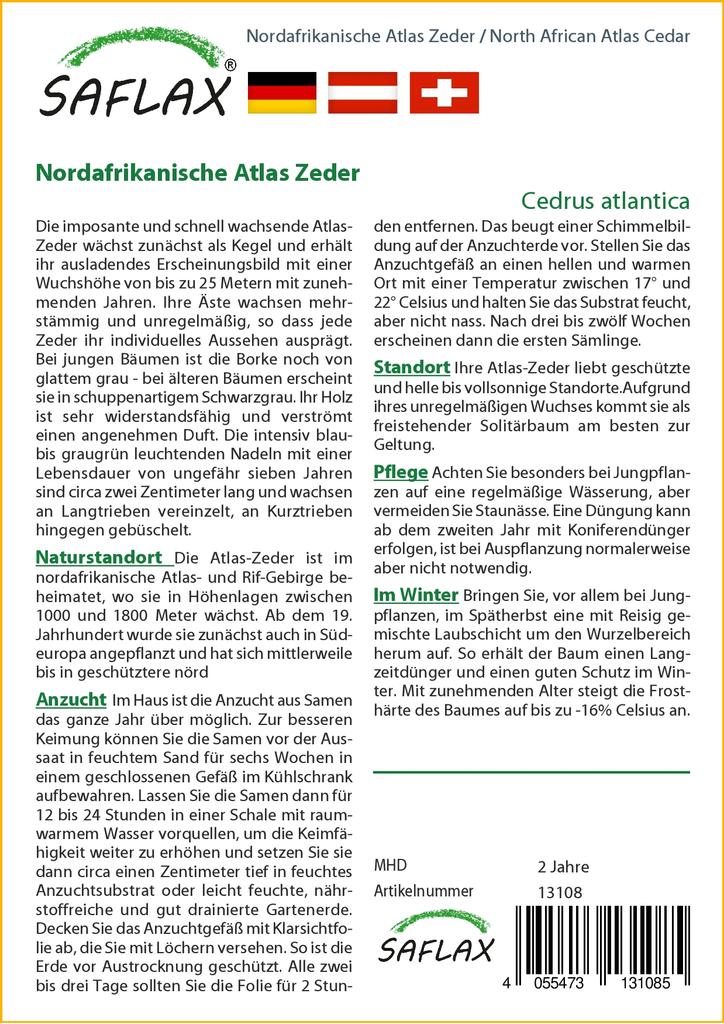 SAFLAX North African Atlas Cedar - 20 Seeds - Cedrus Atlantica