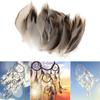 Pack of 50 Mallard Duck Wing 1.6-4.7Inch for Art Craft Wedding Halloween Decoration Cosplay Costume Accessories