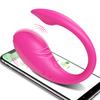 New APP Control Vibrating Love Egg Wearable Women Panties Vibrator Vagina G-Spot Clitoris Stimulator Interaction Adult Sex Toy for Couples Masturbator