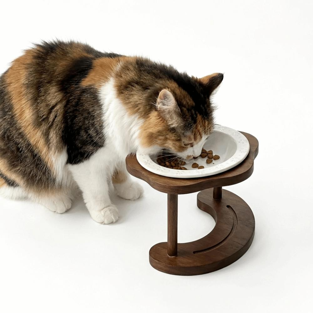 Anti Slip Elevated Cat Water Bowl High Foot Cat Feeding Station Ceramic Cat Bowl Wet Dry Food