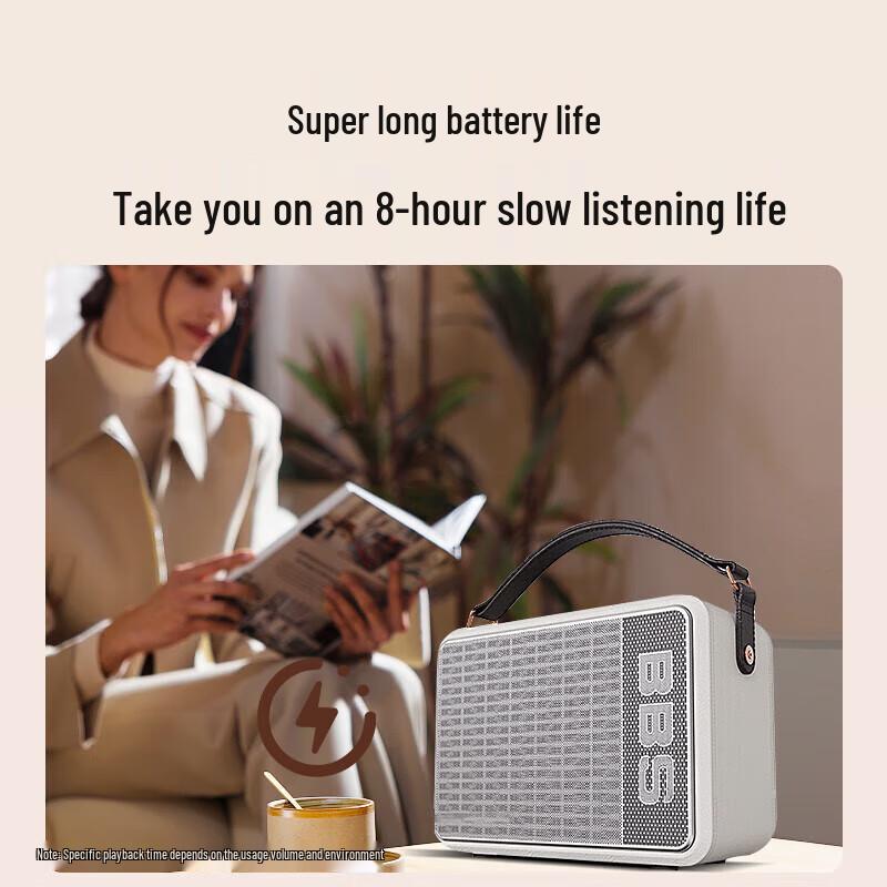 BBS P6 Portable KTV Speaker