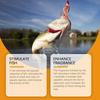 Fish Attractant, Sweet Fish Feed, Portable Reservoir Wild Fishing, Enhancing The Aquatic Response Of Fish Schools,60ML