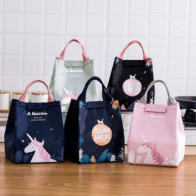 Cartoon Cooler Lunch Bag For Picnic Travel Thermal  Waterproof Storage Bag