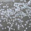 50Pcs Mini Nail Rhinestones Transparent Zircon Flash Nail Art Crystal Gems Dazzling Manicure Tip 3D Nail Art Decoration