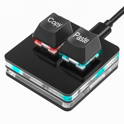 SinLoon USB Mini 2 Key Keyboard 2 Key Copy Paste Keyboard OSU Keyboard Hot Swap One Hand Mechanical Gaming Keyboard with USB Cable for Accounting