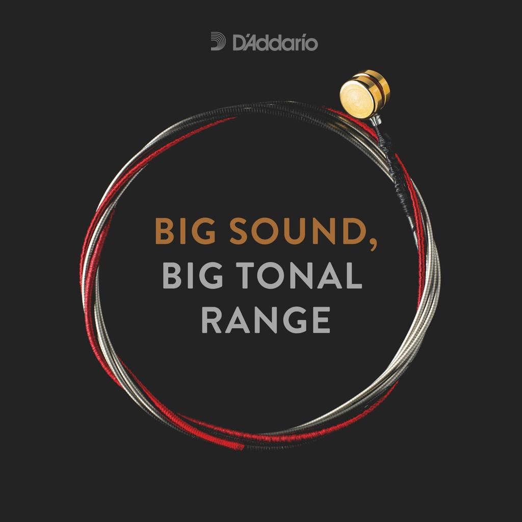 Cello Rose String Kaplan KS514 Medium Tension D'Addario C-String 4/4M []