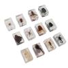 12 Pcs Real Bug Specimens Transparent Resin Science Education Classroom Bug Specimen Sample