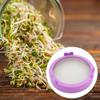 Sprouting Lid With Stainless Steel Screen Mesh Cover Wide Mouth MasonJar For Mouth MasonSprout Jars Germination Strainer
