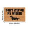 Non- Door Mat, Indoor And Outdoor Carpet, Home Welcome Mat