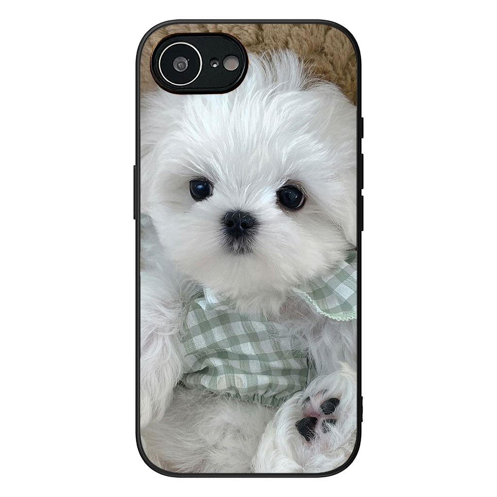 Hülle für Samsung Galaxy A36 A17 A26 A07 A35 A54 A53 A13 A33 A34 S8 S9 S20 S21 FE S10 Plus Handyhülle Haustier Bichon Frisé Weißer Hund