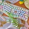 MAIMOOO Puppy Party Keycap Five-Sided Thermal Sublimation Customized Moa Pbt Material Cute  For Diy Keyboard Keycap